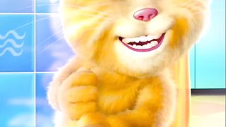 Talking Ginger... 3