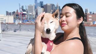 "Barktastic Adventures: Canine Cuteness Unleashed"