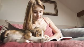 "Furry Friends in Action: A Canine Compilation"