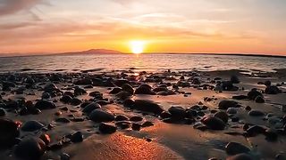 the beach is full of rocks