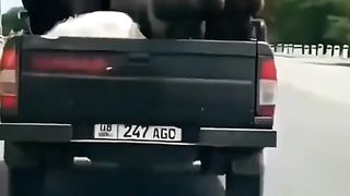 funny video 322