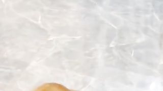 playing with cute orange cat