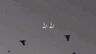 Allah u Allah naat status  status naat
