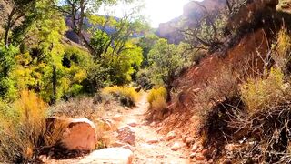 Beautiful Stunning Video | Relaxing Soul and Mind | Amazing Scenery