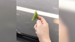 Try Not To Say WOW Challenge! Satisfying Video that Puts You To Sleep!