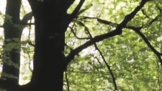 Beautiful nature 111