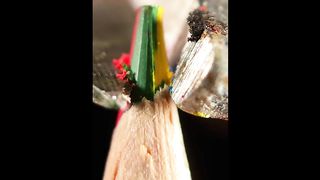 ASMR Macro Shorts Compilation