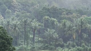 Come to the nature