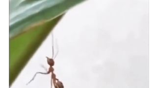 TRUST is a very DANGEROUS Game