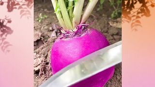 Top Satisfying Video with Slow Music Happy Life????Relax To You Before Sleep ????