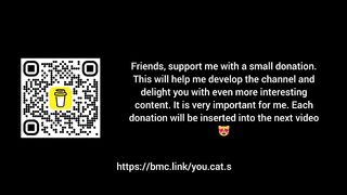 Funny cats and dogs 17