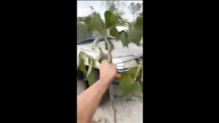 Random Videos Memes Compilation 3
