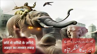 Birds Defending Kaaba l Ashab e Feel ka Waqiya l True Story