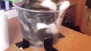 If it fits. I sits.. ????