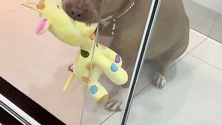 How cute!!!!!