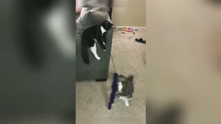 Tiktok Compilation Part 18