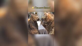 Tiktok Compilation Part 19