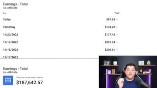 Get PAID $300 a DAY With Digistore24 Affiliate Marketing as a Beginner Using FREE Traffic!