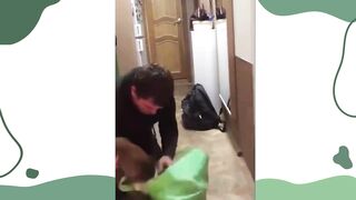 Funny Cute animals Videos cute moment of the animals - #08