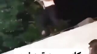 Things only in Pakistan???????? | Watch the end