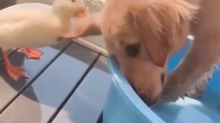Решил занять чужое место