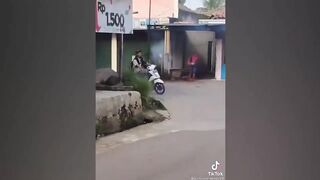 funny videos