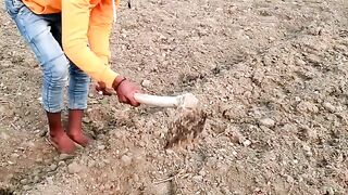 Farming weath