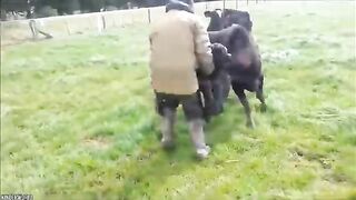 12 Times Animals Took Revenge On Humans