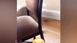 Funny Dogs and Cats Video