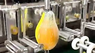 Pappaya Peelig technology