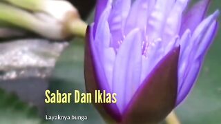 Kata-kata inspirasi
