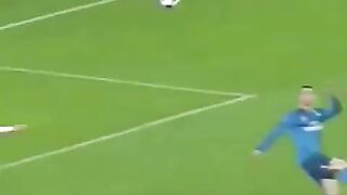 Dog enjoying Ronaldo goal