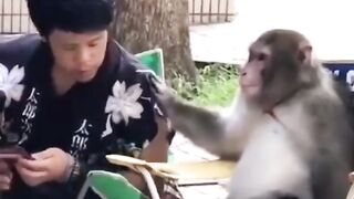 Funny