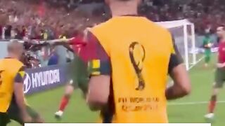 Top 10 goals of the world cup