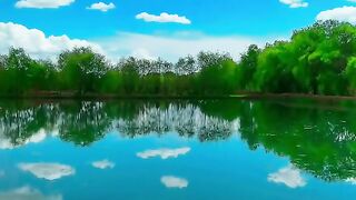 Nature beauty ???? 3