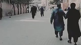 INSAN FANI HAI