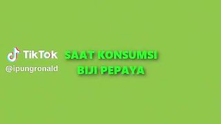 Manfaat Biji Buah Pepaya | benefits of papaya seeds
