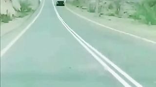 Safe drive plz don't for