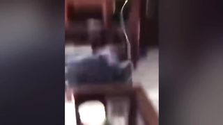“funny animals” video compilation