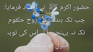 Islamicvedio