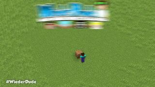 minecraft noob pro hacker god 2