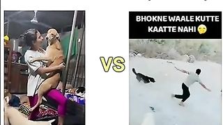 Mans and animals funny vedio