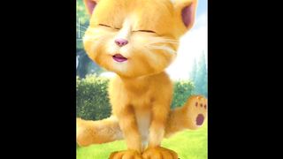 Talking Ginger... 4