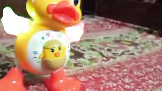 Toys doing fun