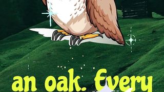 the wise owl