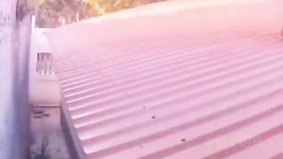 Animals funny vedio 5