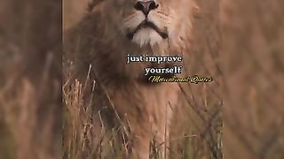 Motivational quote #attitude#selfrespect#story#2023