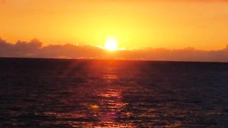 Beautiful View and Nature | Calming Video | Best Febspot Video | #nature