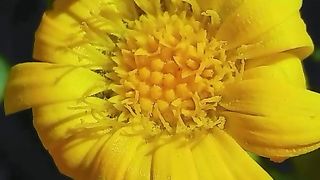 Beautiful  & nice video
