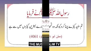 اسلامی معلومات 262